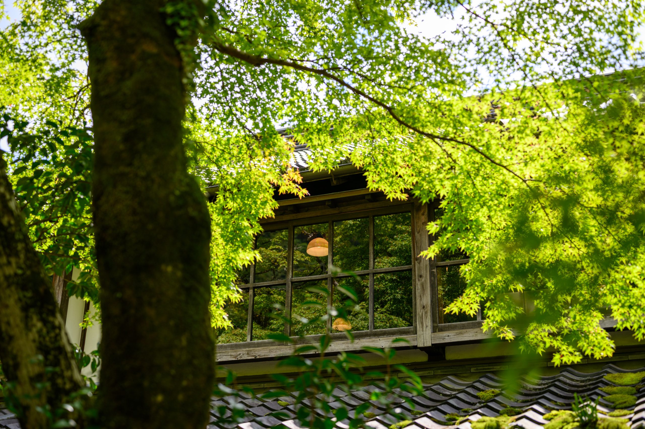 An Open Invitation for a Holistic Lifestyle Choice