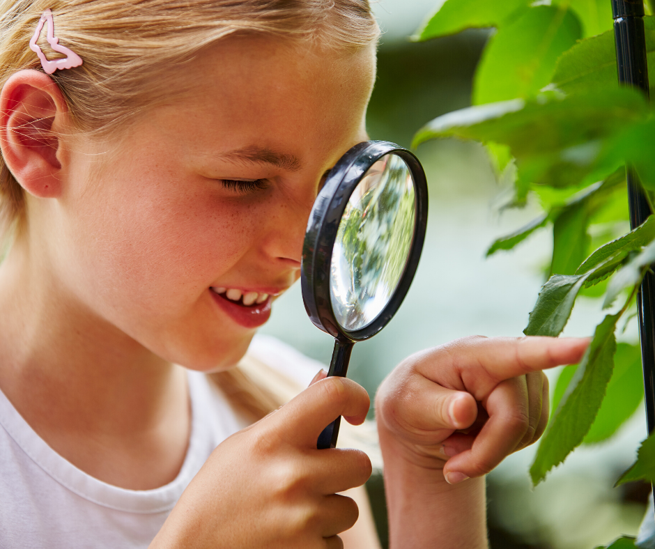 It’s Hard to Fool a Curious Researcher