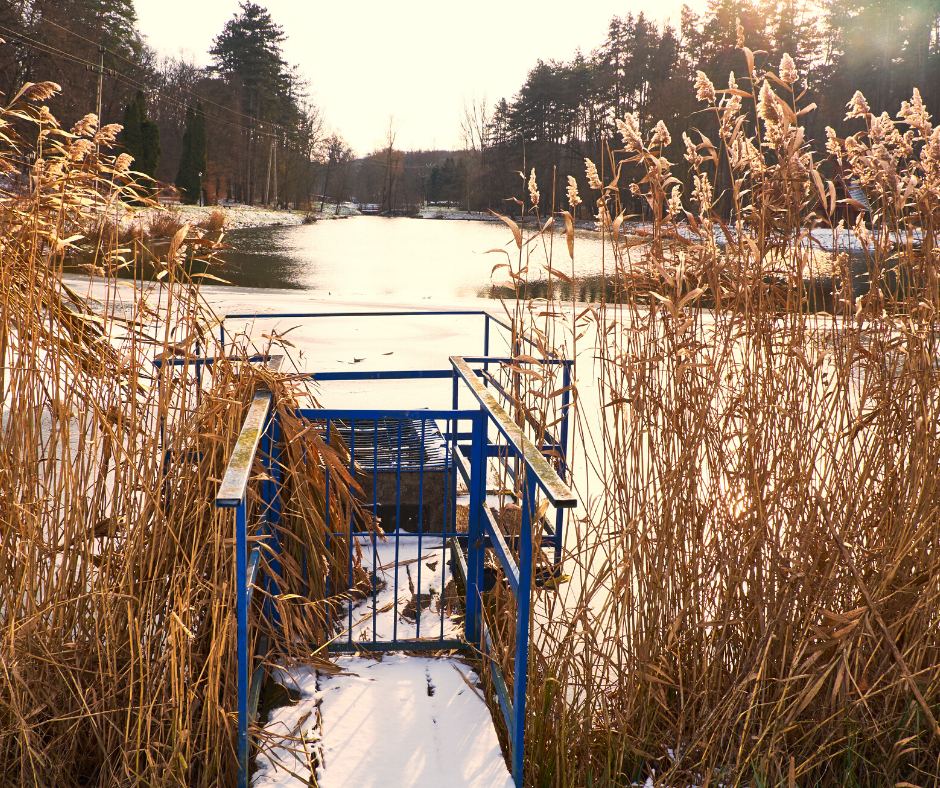 Infecting Everyone With the “Green Buzz” of the Times